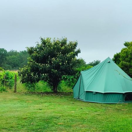 Vila Quinta Da Teimosa Monção Exteriér fotografie